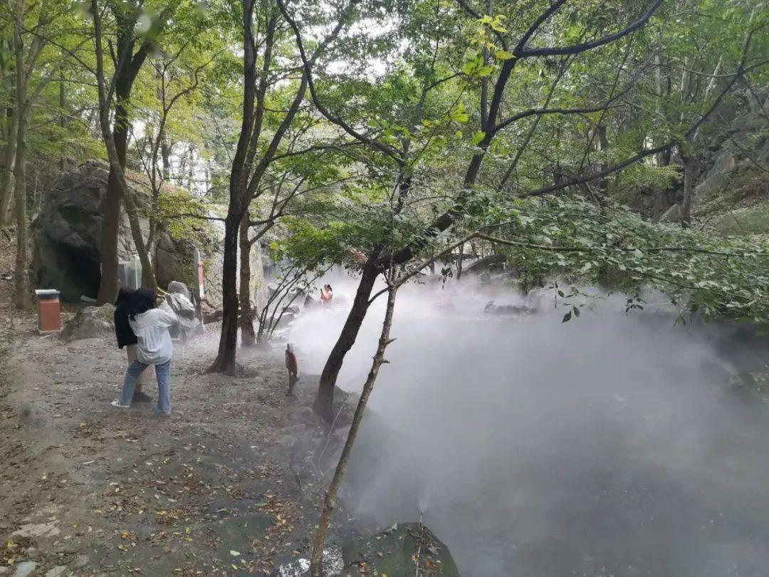 淄博博山区城西街道：让困难群众温暖过冬 平安过节